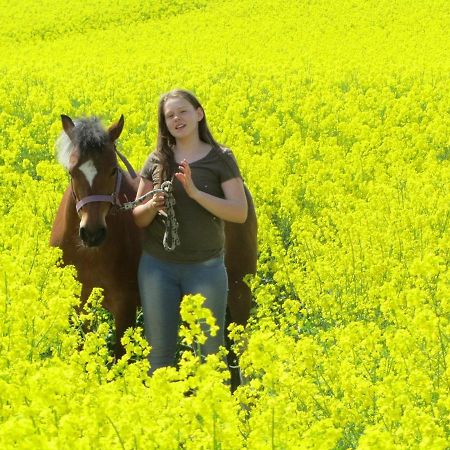 Ferienhof Martens Sörup Exteriér fotografie