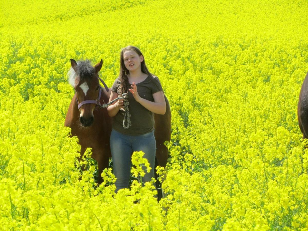 Ferienhof Martens Sörup Exteriér fotografie